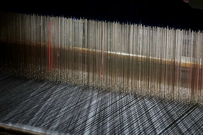 I licci di un telaio jacquard in controluce, sopra l’ordito